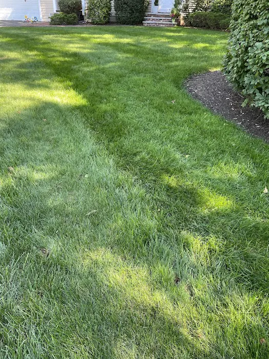 Turf Pro, Inc. Picture 10