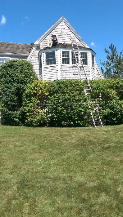 Nuisance Animal Removal Picture 4