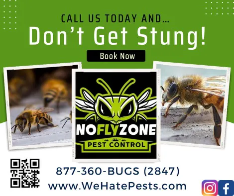 No Fly Zone Pest Control, Inc. Picture 5