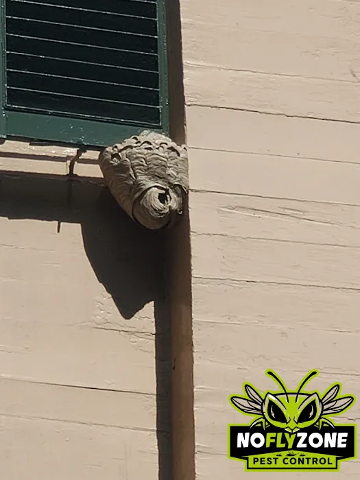 No Fly Zone Pest Control, Inc. Picture 1