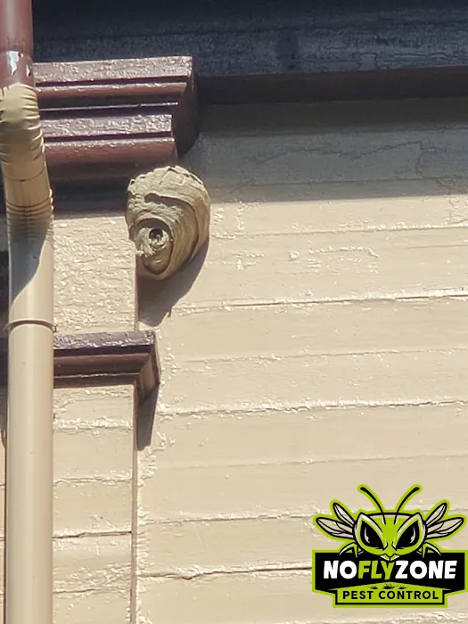 No Fly Zone Pest Control, Inc. Picture 8