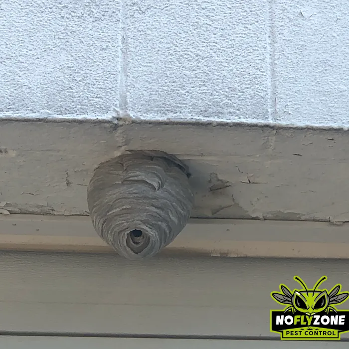 No Fly Zone Pest Control, Inc. Picture 7
