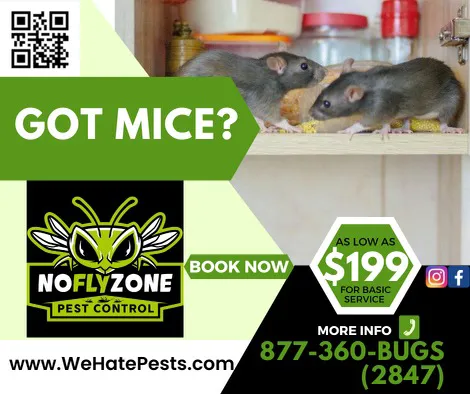 No Fly Zone Pest Control, Inc. Picture 6