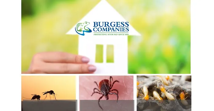 Burgess Pest Management Picture 6