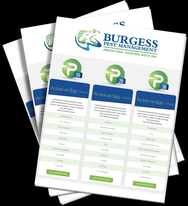 Burgess Pest Management Picture 7