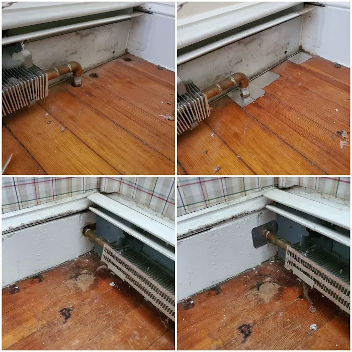 Best Mice Proofing Solutions Picture 6