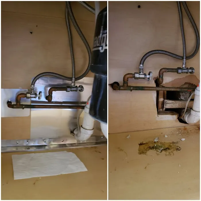 Best Mice Proofing Solutions Picture 2