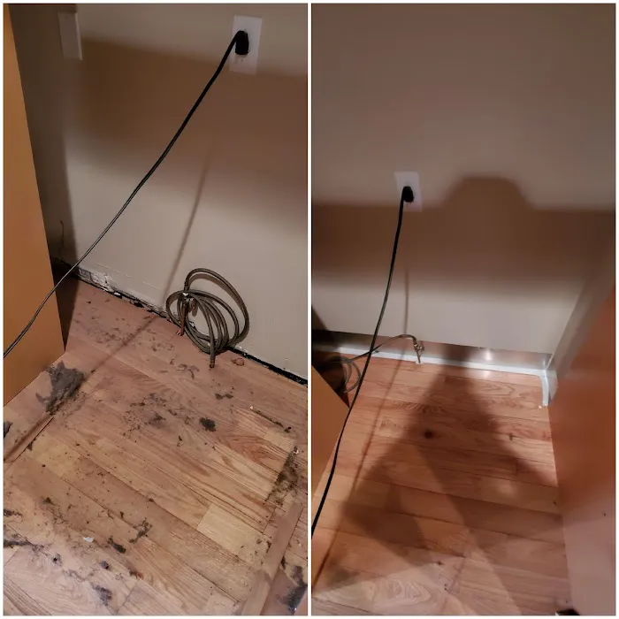 Best Mice Proofing Solutions Picture 1