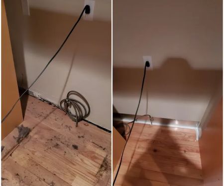 Best Mice Proofing Solutions