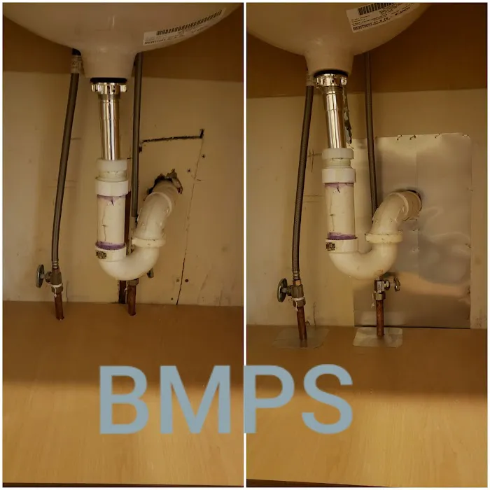 Best Mice Proofing Solutions Picture 9