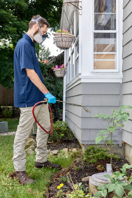 Clancy Brothers Pest Control Picture 2
