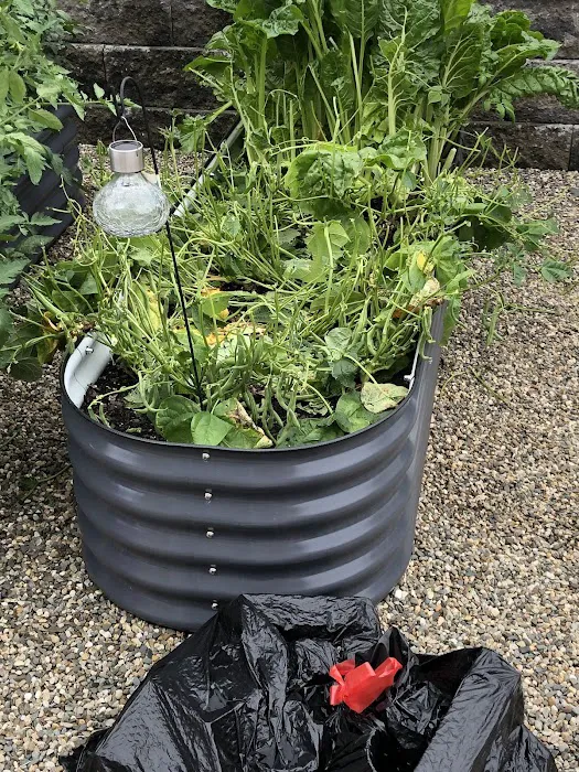 Clancy Brothers Pest Control Picture 8