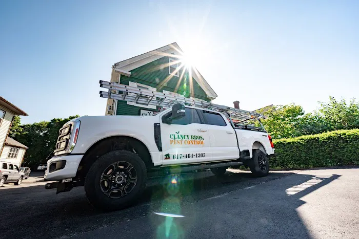 Clancy Brothers Pest Control Picture 4