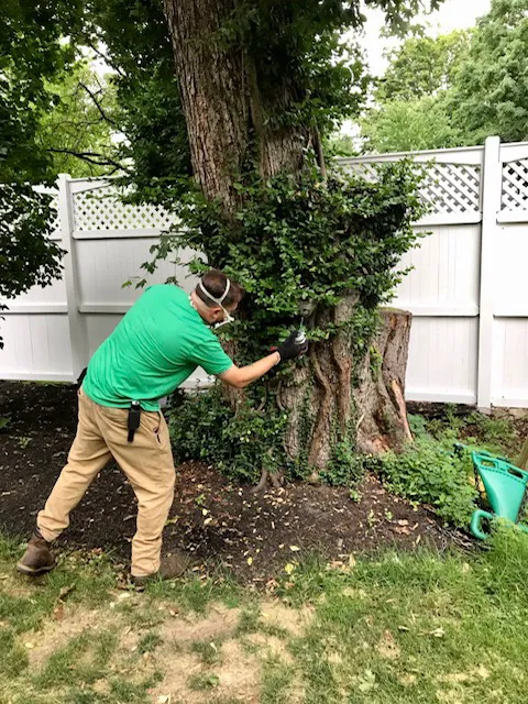 Clancy Brothers Pest Control Picture 6