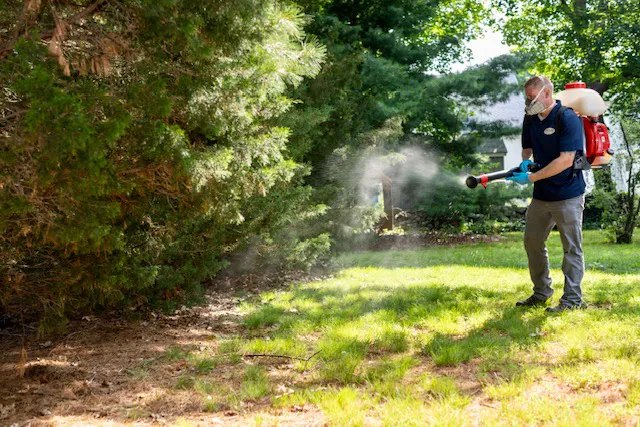 Clancy Brothers Pest Control Picture 1