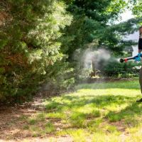 Clancy Brothers Pest Control ico