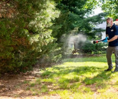 Clancy Brothers Pest Control