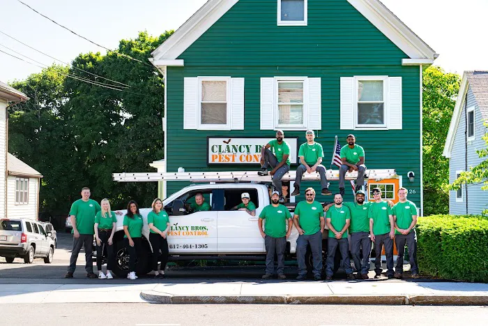 Clancy Brothers Pest Control Picture 10