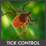 SafeZone Mosquito & Tick Control