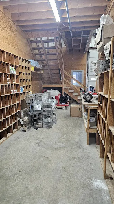 Pilgrim Pest Professionals Picture 1