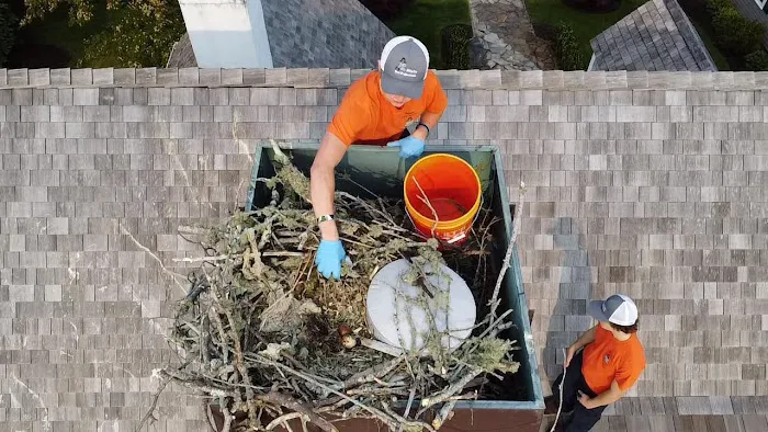 Pilgrim Pest Professionals Picture 6