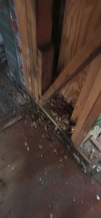 Mayflower pest control Picture 4