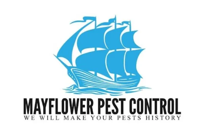 Mayflower pest control Picture 3