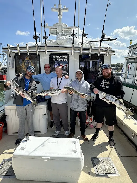 Seaport Pest Solutions Cape Cod Picture 8