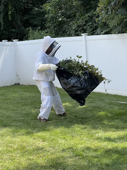 Seaport Pest Solutions Cape Cod Picture 3
