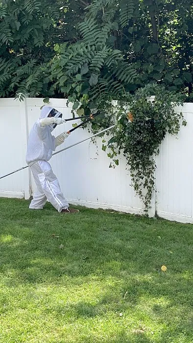Seaport Pest Solutions Cape Cod Picture 4