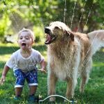 South Shore Mosquito & Tick Control