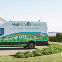 Mainely Grass ico