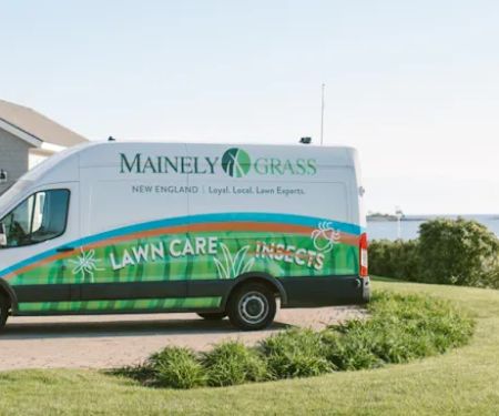 Mainely Grass