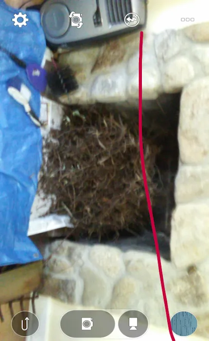 PROBLEM ANIMAL CONTROL Picture 2