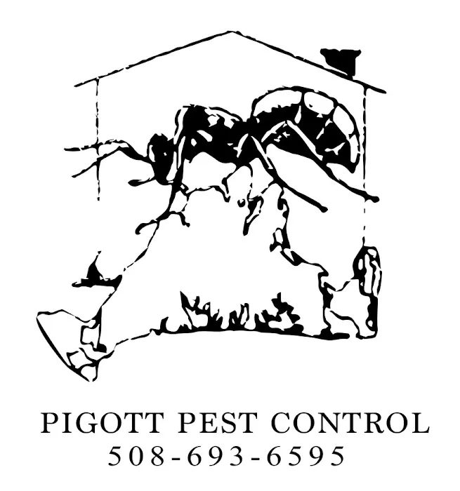 Pigott Pest Control Picture 1