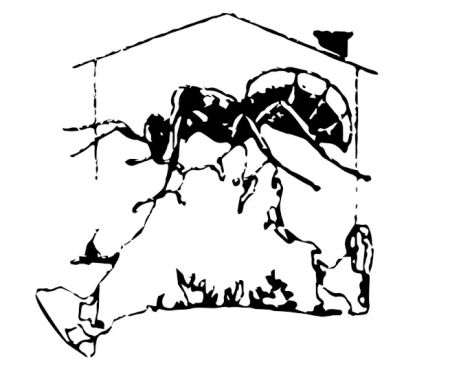 Pigott Pest Control