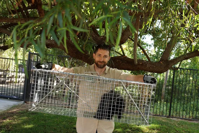 Wildlife Trapping Professionals of Cape Cod Picture 6