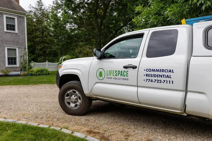 LifeSpace Pest Solutions Picture 10