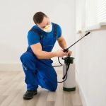 LifeSpace Pest Solutions