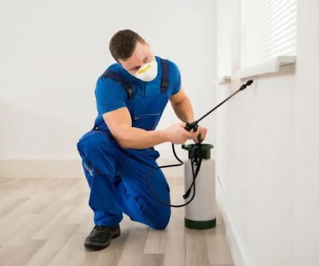 LifeSpace Pest Solutions