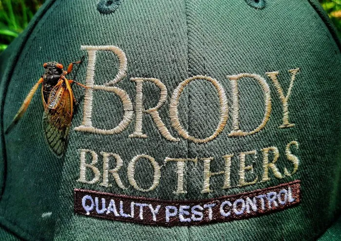 Brody Brothers Pest Control in Harford County Picture 7