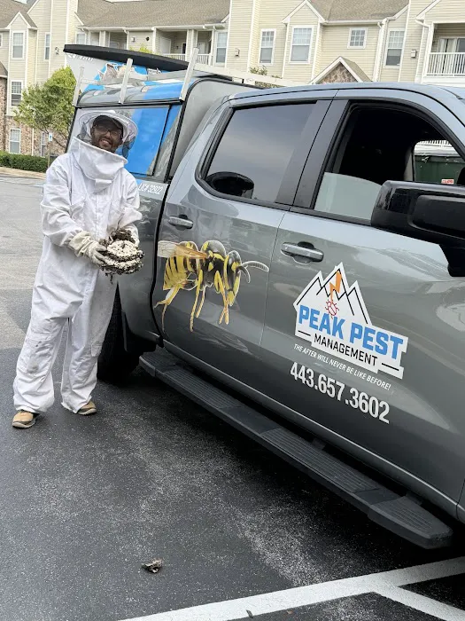 Peak Pest Management Picture 6
