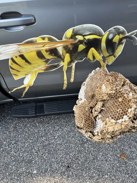 Peak Pest Management Picture 1