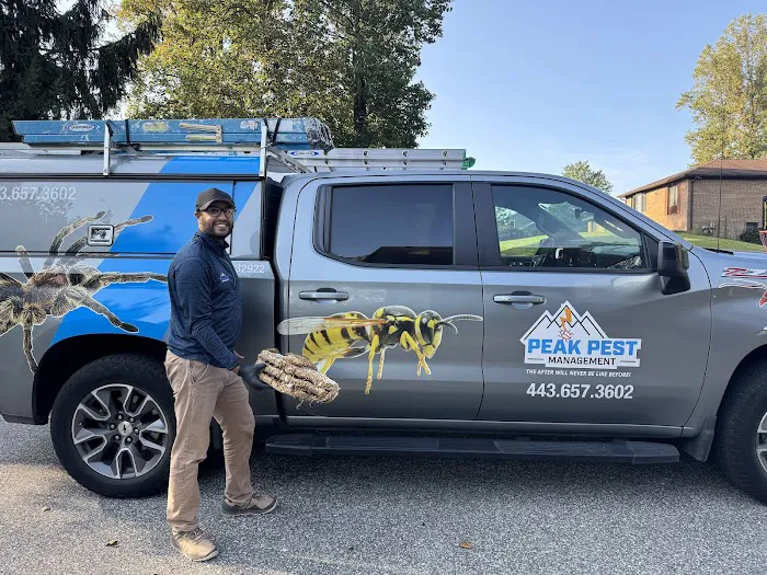 Peak Pest Management Picture 3