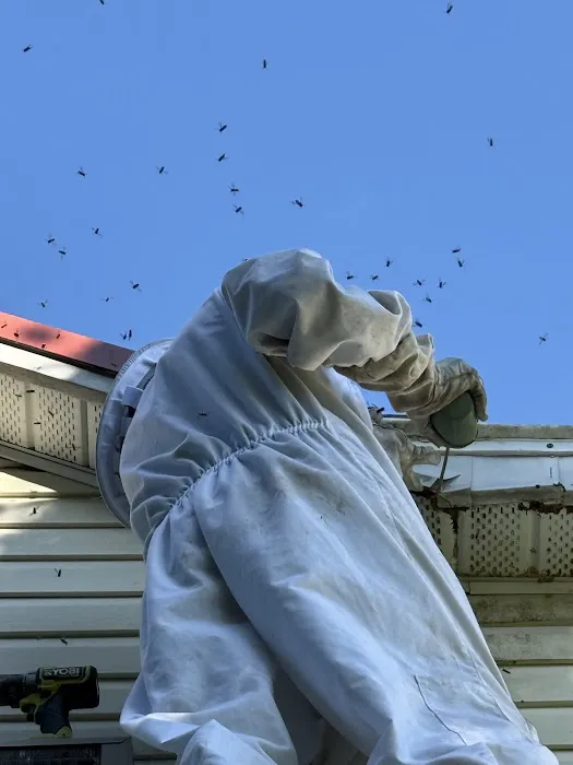 Peak Pest Management Picture 2