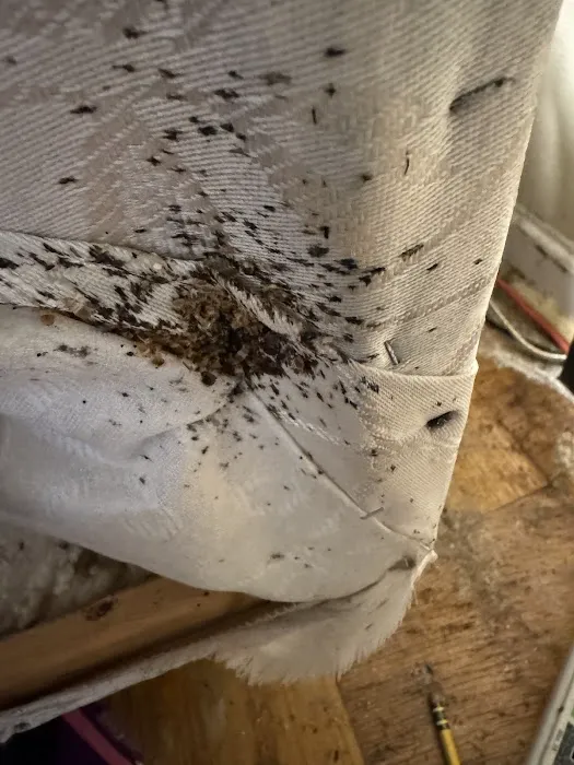 Peak Pest Management Picture 7
