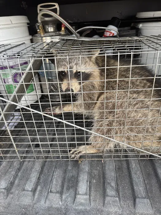 Peak Pest Management Picture 8