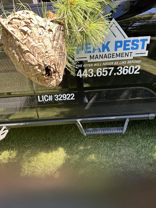 Peak Pest Management Picture 10