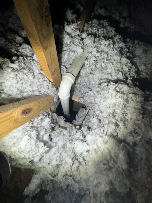 Charm City Pest Control Solutions LLC Picture 2
