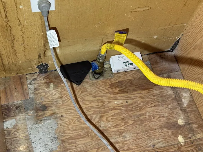 Charm City Pest Control Solutions LLC Picture 6